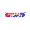 Bristle Blocks