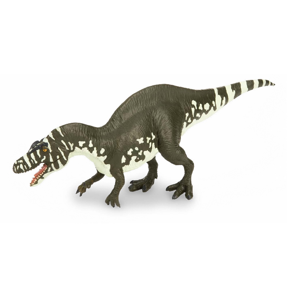 Terra Acrocanthosaurus Atokensis