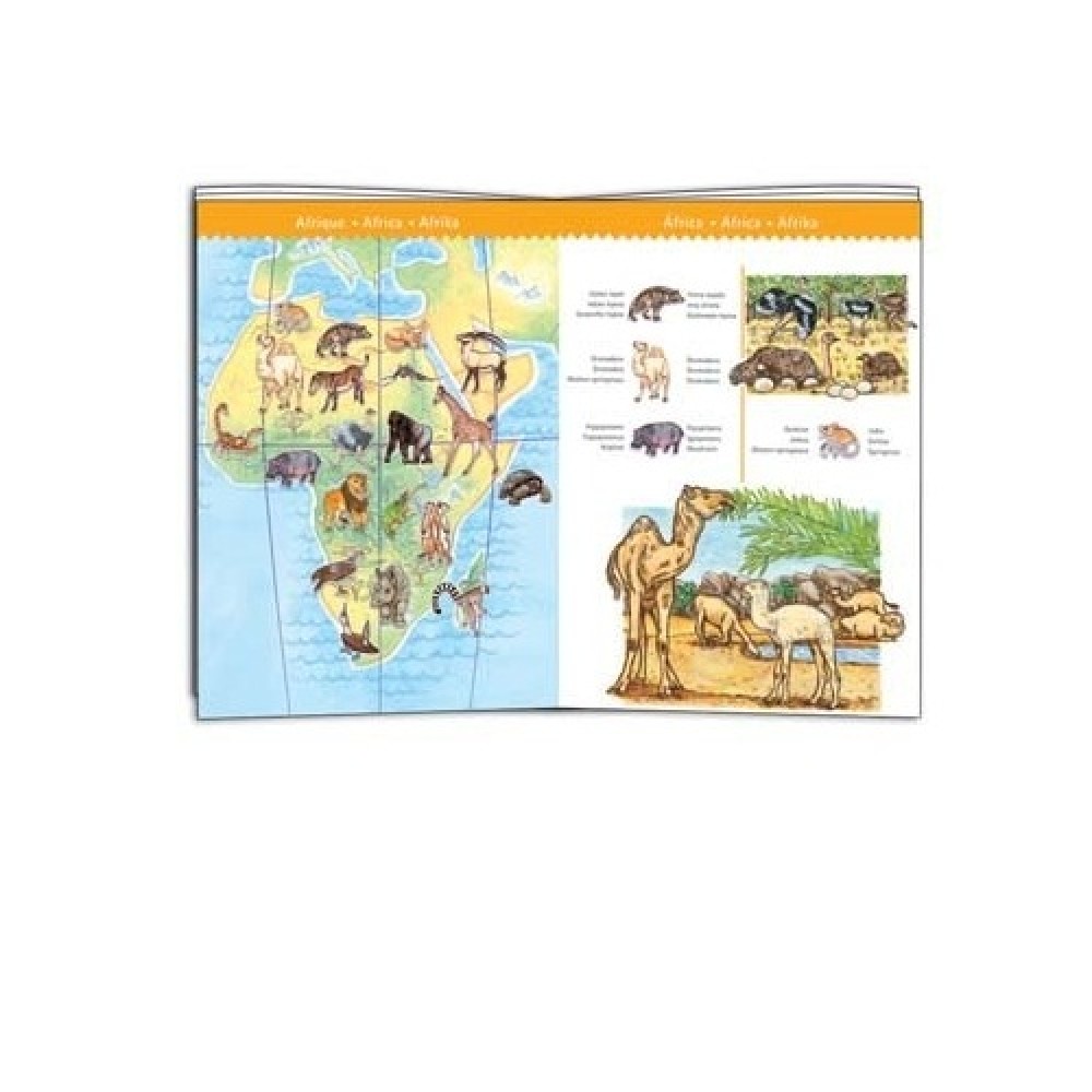 Djeco Puzzles observation World's animals - 100pcs - FSC MIX