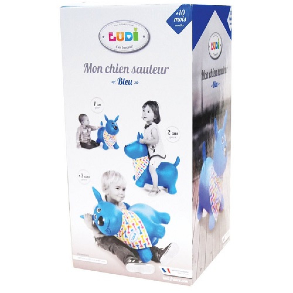 Ludi blue bouncing dog