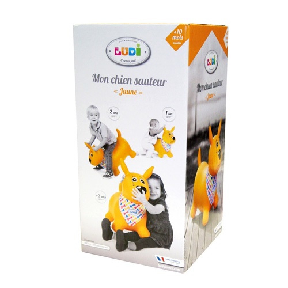 Ludi 'Yellow' Bouncing dog