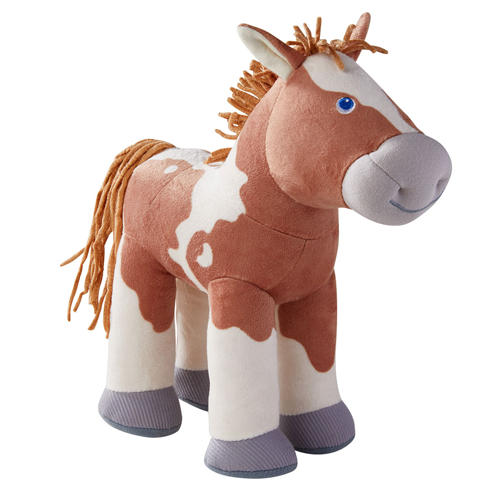 Haba Foal Luna