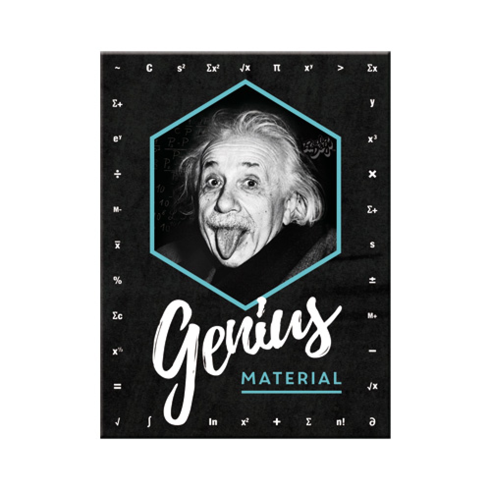 Nostalgic Magnet Celebrities Einstein - Genius Material