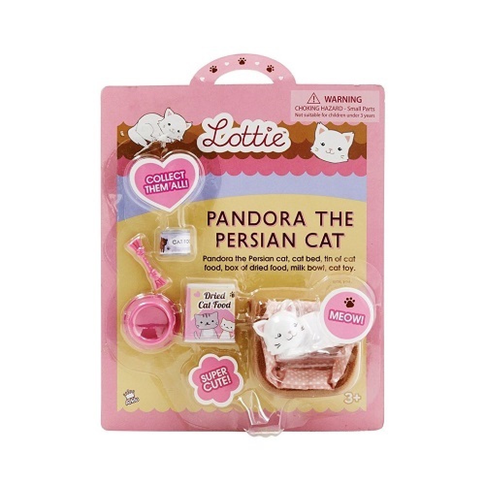 Lottie Pandora the Persian Cat