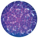 Svoora Liquid Stick Kaleidoscope Cosmos 'Underwater' 15 cm