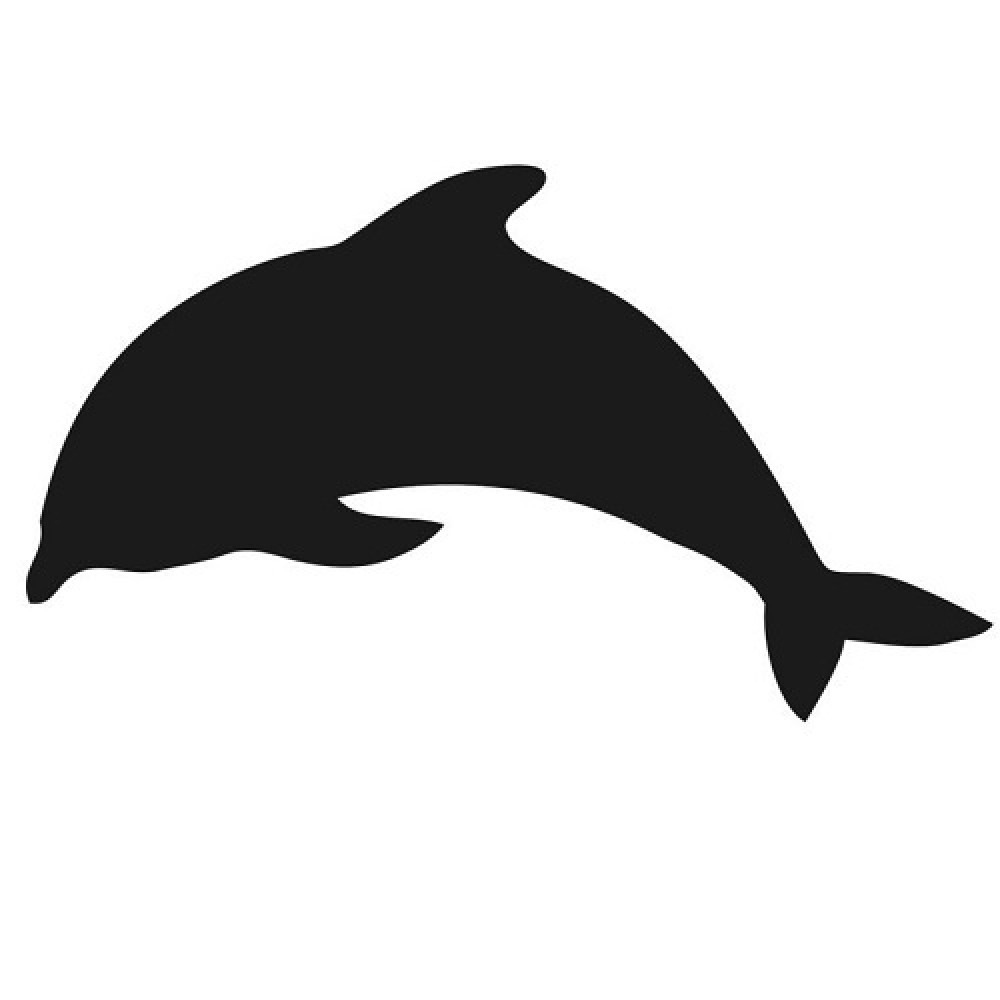 Silhouette dolphin chalk board - including chalk marker and wall Velcro mounting strips - 30x50cm