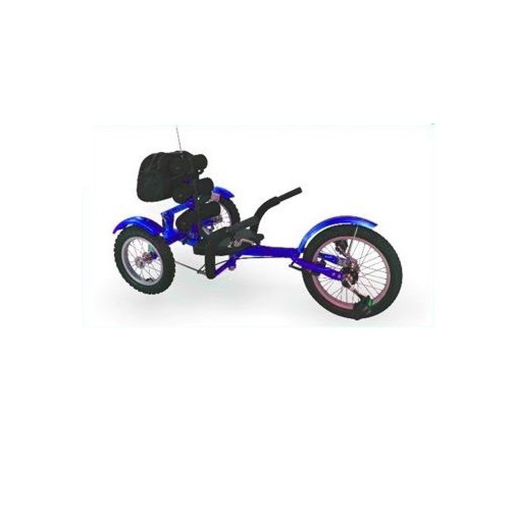 Tricycle blue